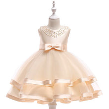 Load image into Gallery viewer, Baby Girls Flower Kids Dress for Girls Lace Cake Tutu Party Princess Dress Girl 2 4 6 7 8 10 Yrs Birthday Party Event Prom Dress