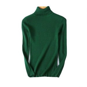 Women Sweaters  Winter Autumn Turtle Neck Sweater Elastic Slim Knitted Pullover Bottoming Sweater Women Pullovers Sweaters