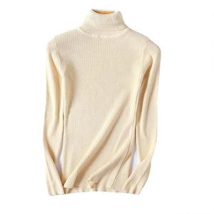 Women Sweaters  Winter Autumn Turtle Neck Sweater Elastic Slim Knitted Pullover Bottoming Sweater Women Pullovers Sweaters