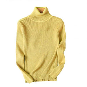 Women Sweaters  Winter Autumn Turtle Neck Sweater Elastic Slim Knitted Pullover Bottoming Sweater Women Pullovers Sweaters